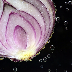 Onion-1